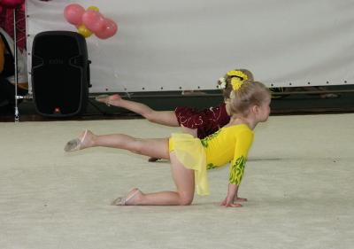 В Рязани прошло открытое первенство спорткомплекса «Локомотив»